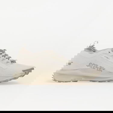 Tenisky a topánky Nike Pegasus Trail 5 Gore-Tex Béžová | HQ7494-100, 2