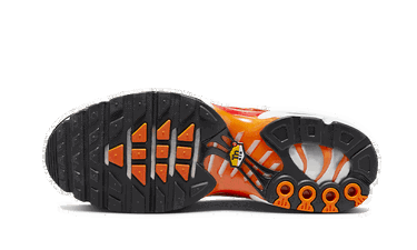 Tenisky a topánky Nike Air Max Plus "Light Photography" Oranžová | DZ3531-600, 2