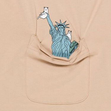 Tričko RIPNDIP Rip N Dip Liberty Pocket T-Shirt Béžová | RNDSPR25157, 1
