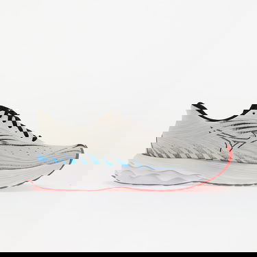 Tenisky a topánky Mizuno Wave Skyrise 6 Biela | J1GC250906, 2
