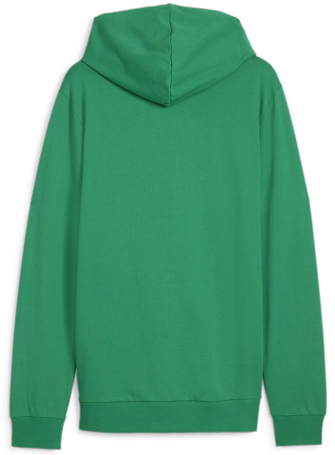 Mikina Puma teamGOAL Casuals Hoody Zelené | 658595-05, 1