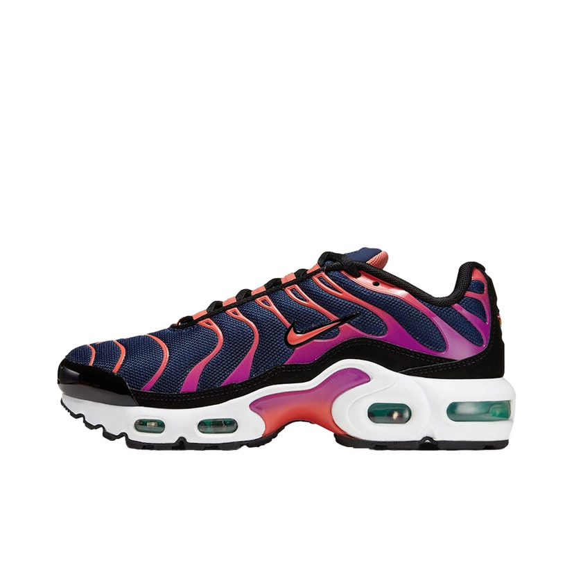 Tenisky a topánky Nike Air Max Plus Rôznofarebný | CD0609-402