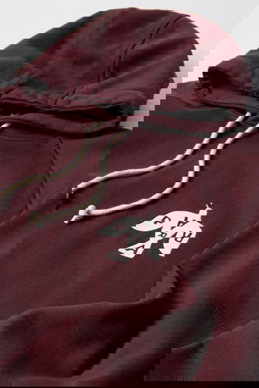 Mikina By Parra Crow logo hooded sweatshirt Vínová | 54326, 2