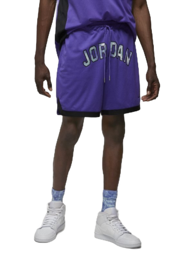 Šortky Jordan Sport DNA Mesh Shorts Fialová | DM1414-579