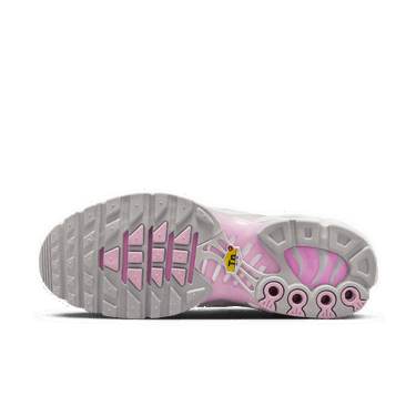 Tenisky a topánky Nike Air Max Plus Šedá | HF0107-100, 2