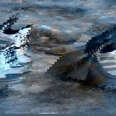 Tenisky a topánky adidas Performance Terrex Trailmaker 2.0 Gore-Tex Šedá | IH5009, 4