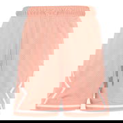 Air Jordan Breathable Casual Shorts