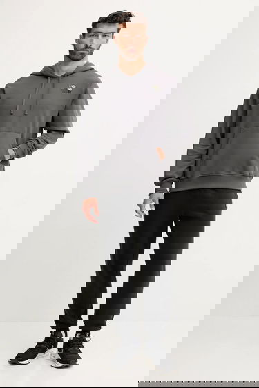 Mikina The North Face Flowe Dome Graphic Hoodie Šedá | NF0A8EGZRHI1, 1