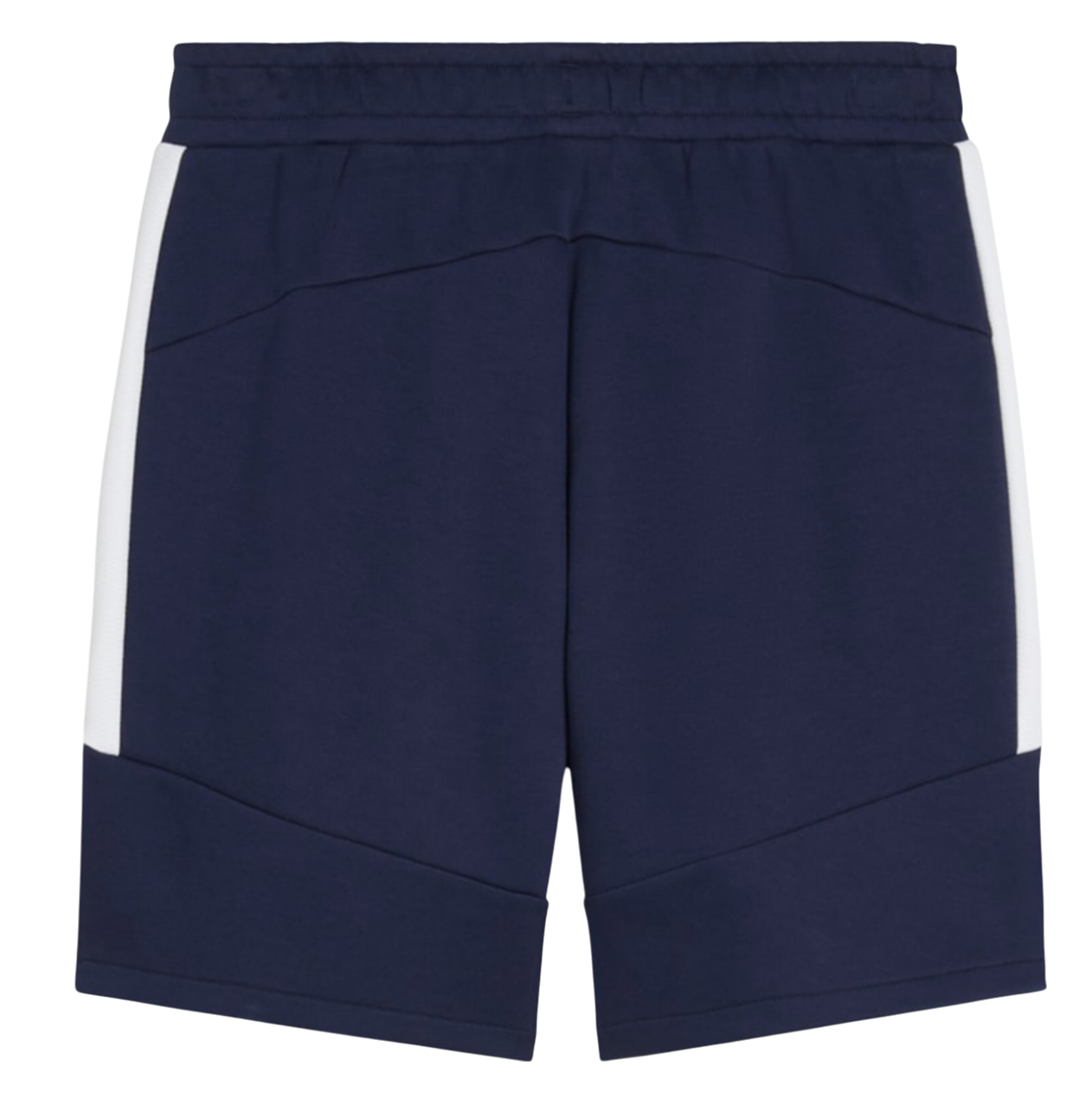 Šortky Puma Puma teamEVOSTRIPE Shorts Navy | 659951-06, 1