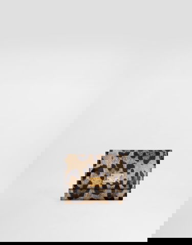 Peňaženka Dolce & Gabbana Leopard-print Wallet in Dauphine Calfskin Rôznofarebný | BI0770AX566HY13M, 0