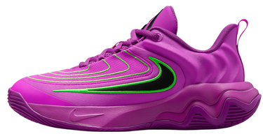 Tenisky a topánky Nike Giannis Immortality 4 Fialová | fz6734-501, 1
