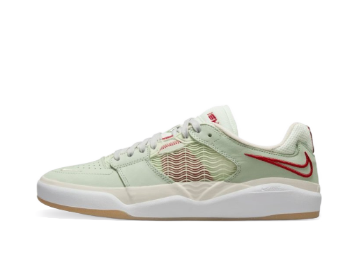 Skateboarding Nike SB Ishod Wair Premium "Green" Zelené | DM0752-001