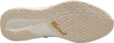 Tenisky a topánky Nike Pegasus 41 GORE-TEX Béžová | fq1356-102, 3