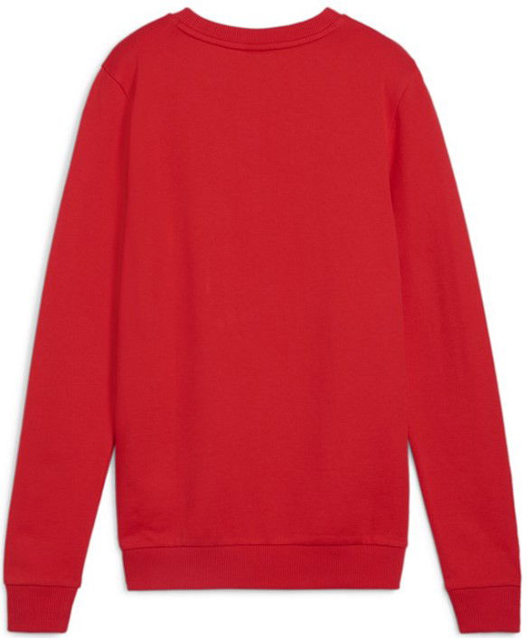 Mikina Puma teamGOAL Casuals Sweatshirt Červená | 658594-01, 1