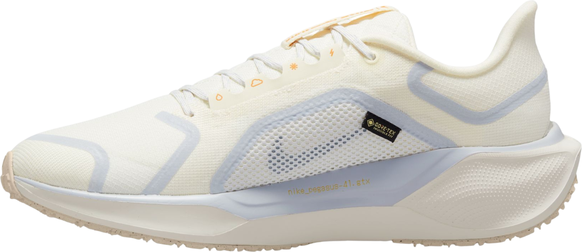 Tenisky a topánky Nike Pegasus 41 GORE-TEX Béžová | fq1356-102, 1