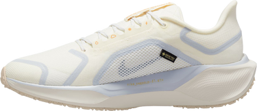 Tenisky a topánky Nike Pegasus 41 GORE-TEX Béžová | fq1356-102, 1