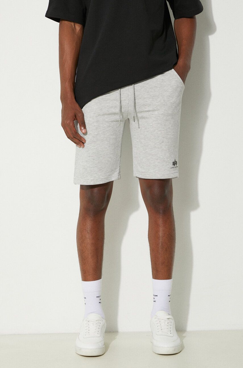 Šortky Alpha Industries Basic Shorts Šedá | 116363.17, 0
