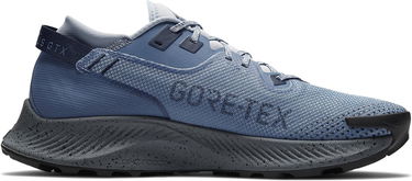 Tenisky a topánky Nike Pegasus Trail 2 GTX Modrá | cu2016-400, 2
