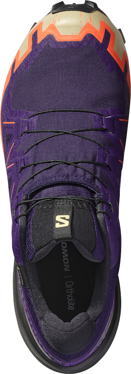 Tenisky a topánky Salomon Salomon SPEEDCROSS 6 GTX Fialová | l47980700, 1