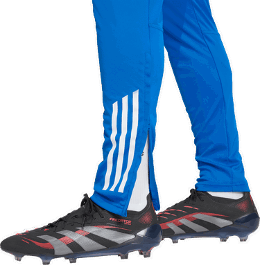 Tepláky adidas Originals Real Madrid Tiro25 Competition Training Pants Modrá | jp4028, 3