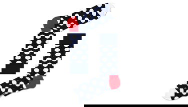 Ponožky Happy Socks Dot Rôznofarebný | BDO01-9005BD01-608, 1
