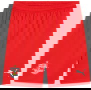 RBS Shorts Replica 2024/25