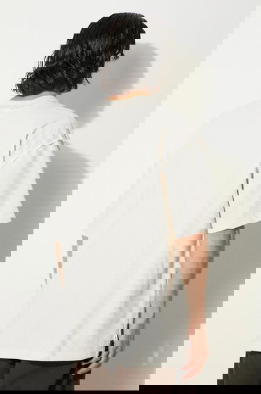 Tričko Vans Premium Classics LX Clash Graphic T-Shirt Béžová | VN000HQ73KS1, 2