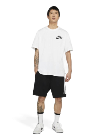 Nike SB Logo Skate T-Shirt DC7817-100