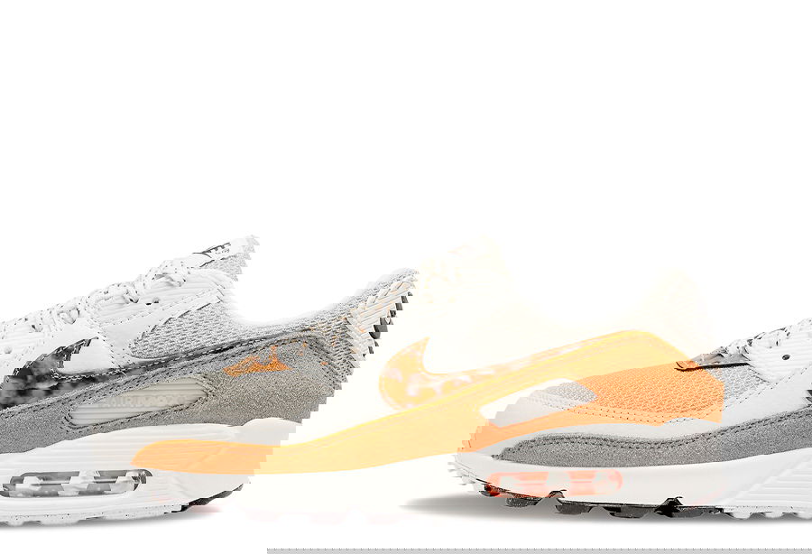 Tenisky a topánky Nike Air Max 90 "Tortoiseshell" W Hnedá | DQ9316-001, 1