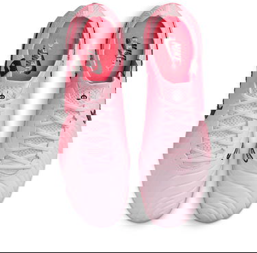 Tenisky a topánky Nike LEGEND 10 ELITE FG Ružová | dv4328-601, 3