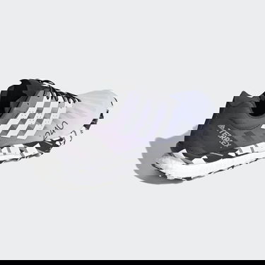 Tenisky a topánky adidas Performance Terrex Speed Ultra Fialová | FW2805, 1