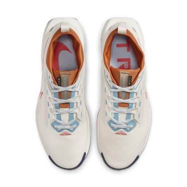 Tenisky a topánky Nike Pegasus Trail 5 GORE-TEX Šedá | FQ0908-003, 1
