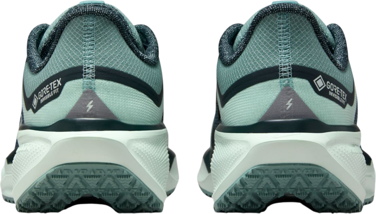 Tenisky a topánky Nike Pegasus 41 GORE-TEX Tyrkysová | fq1357-003, 1