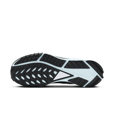 Tenisky a topánky Nike Pegasus Trail 4 GORE-TEX Šedá | DJ7929-005, 4