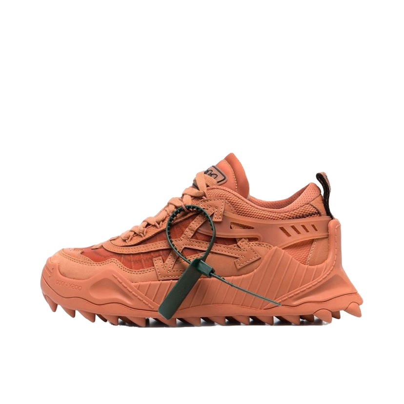 Tenisky a topánky Off-White Odsy-1000 Terracotta W Oranžová | OWIA180S22FAB0016464
