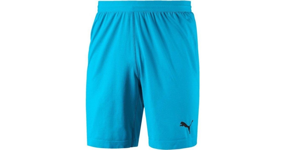 FINAL evoKNIT GK Shorts