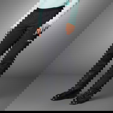 Nohavice adidas Performance Terrex Xperior Fast Čierna | IB1172, 1
