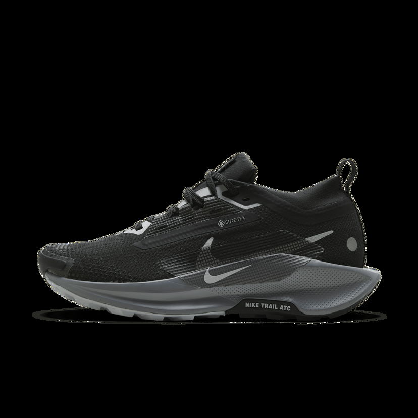 Tenisky a topánky Nike Pegasus Trail 5 GORE-TEX Čierna | FQ0912-001