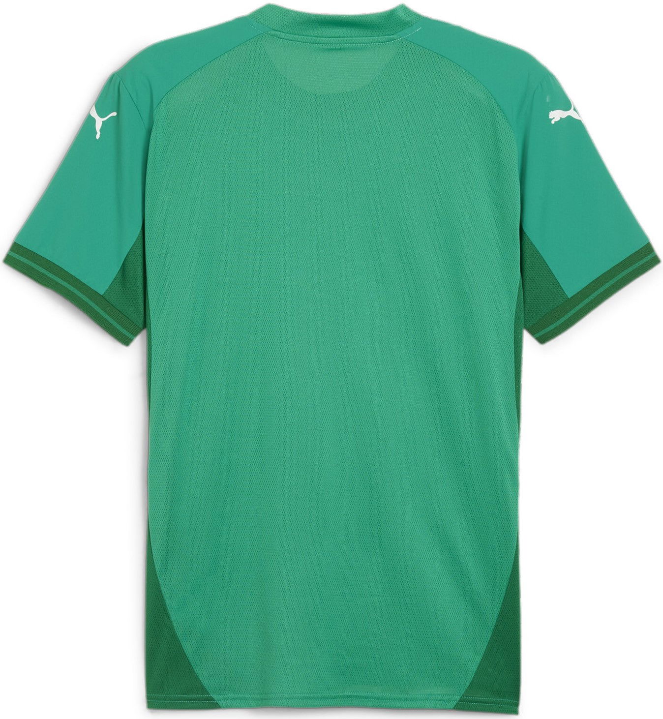 Dres Puma teamFINAL Jersey Zelené | 705737-05, 1