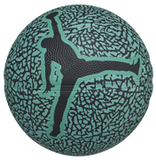 Jordan Skills 2.0 Graphic Basketball