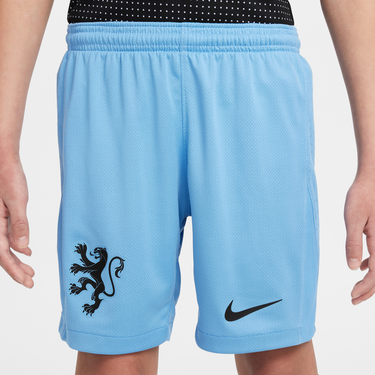 Šortky Nike Dri-FIT Netherlands Stadium 2026/26 Replica Shorts Modrá | FZ9218-489, 2