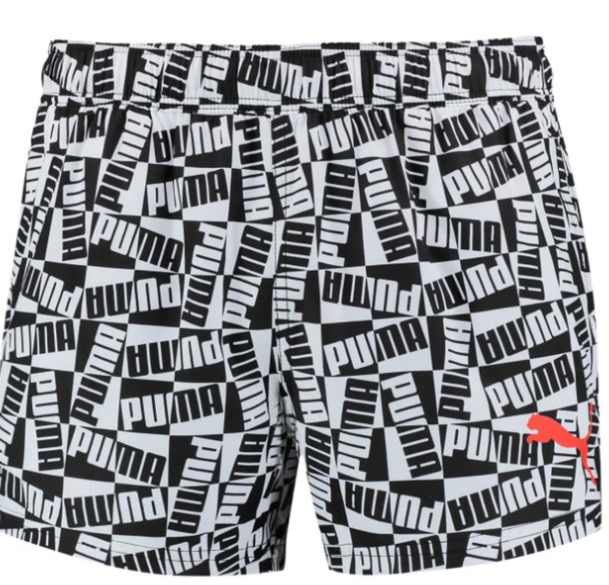 Puma Swim Block Logo Shorts