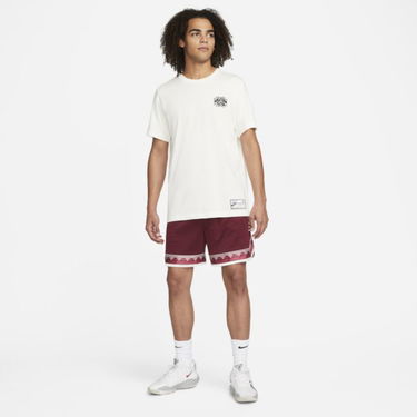 Tričko Nike Giannis Premium Basketball T-Shirt Biela | DR7619-133, 2