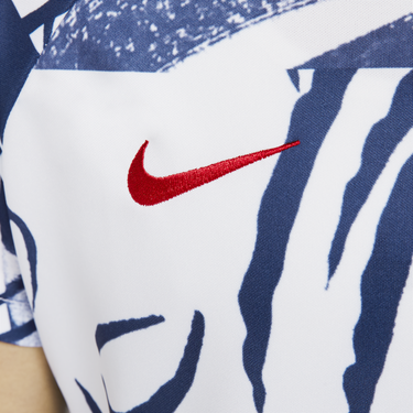 Tričko Nike Dri-FIT FFF Academy Pro Football Tee Rôznofarebný | DR5036-100, 1