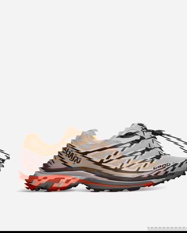 Tenisky a topánky Salomon XT-6 Sneakers Hazelnut / Quail / Living Coral Béžová | L47444900, 1