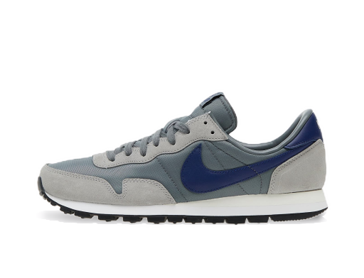 Tenisky a topánky Nike Air Pegasus '83 Šedá | DJ6892-001
