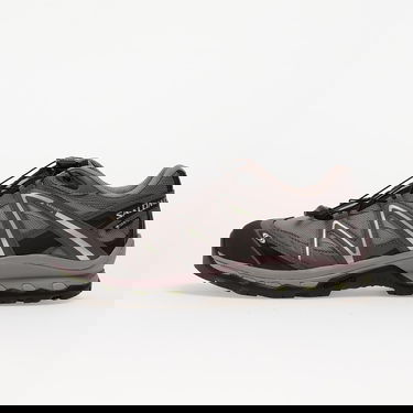 Tenisky a topánky Salomon XT-Quest Gore-Tex Šedá | L49127700, 0