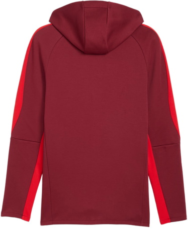 Bunda Puma Red Bull Salzburg Evostripe Hooded Jacket Vínová | 781767-10, 1