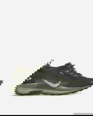 Tenisky a topánky Nike Pegasus Trail 5 GORE-TEX Zelené | HQ7494-300, 1
