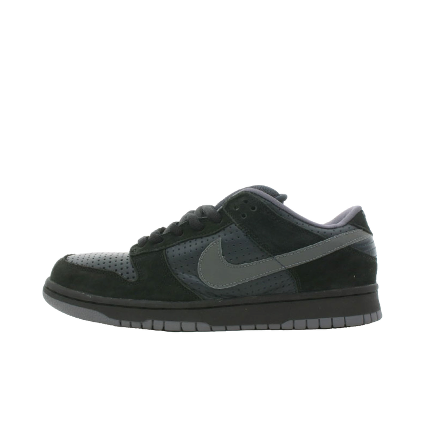Tenisky a topánky Nike SB SB Dunk Low Gino Iannucci 1 Čierna | 304292-401